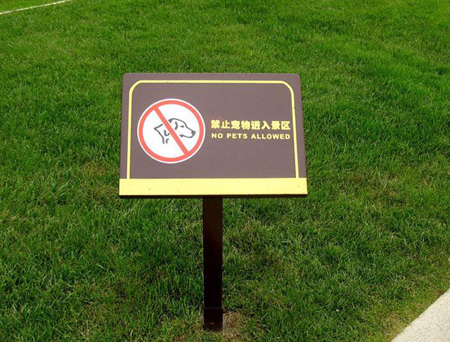 公園小草牌